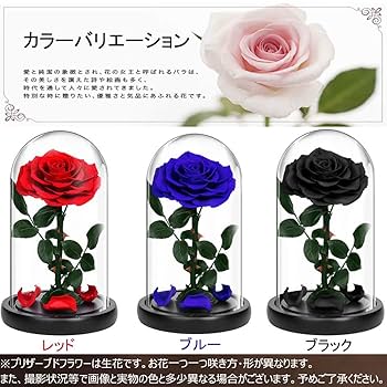 ROSE GALLERYプリザーブドフラワー　ブルー　ガラスドーム付き Amazon｜プリザーブドフラワー バラ ブルー ローズ 薔薇 3カラー